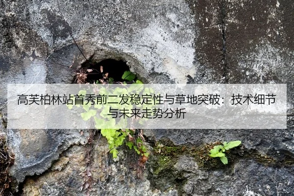 gao-fu-bo-lin-zhan-shou-xiu-qian-er-fa-wen-ding-xing-yu-cao-di-tu-po-ji-shu-xi-jie-yu-wei-lai-zou-shi-fen-xi-1-794.jpg